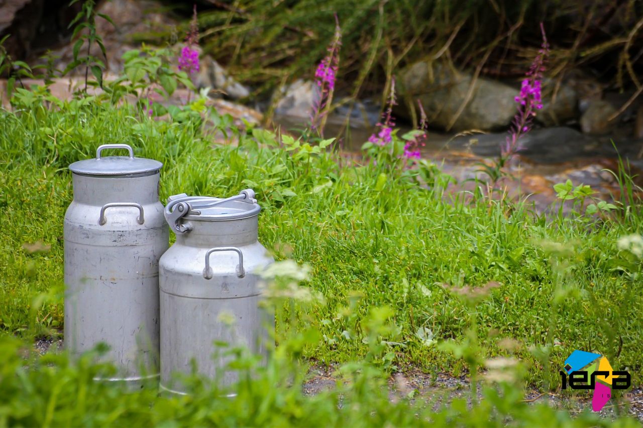 How a Simple Milk Purchase Led…