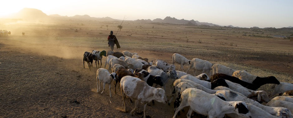 A Pastoralist’s Conversion: Overcoming Misconceptions About Islam.