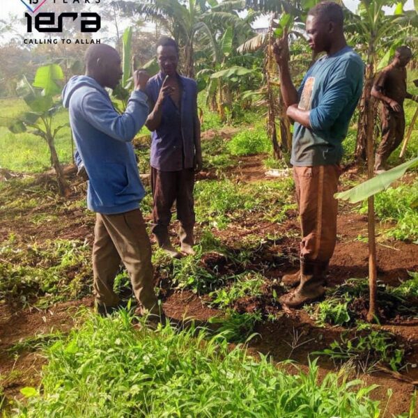 Roots of Faith: Embracing Islam on Banana groves