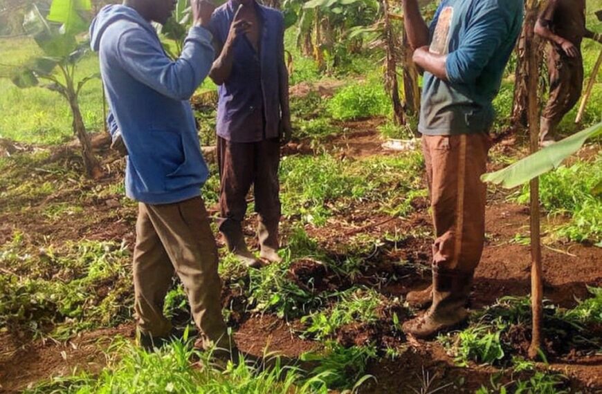 Roots of Faith: Embracing Islam on Banana groves