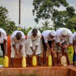 Where light is cultivated: A…