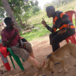 Touched by the Truth the…