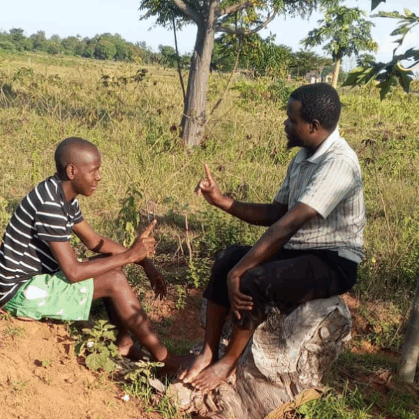 From Questions to Clarity