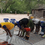 Beneath the Ancestral Tree Where…