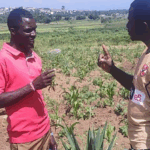 The Transformational Story of Mashauri