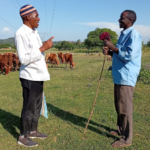 From Silent Reflection to Inner…