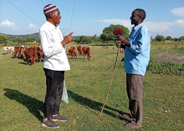 From Silent Reflection to Inner Peace