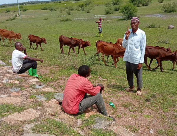 Young Man Found Peace and Purpose