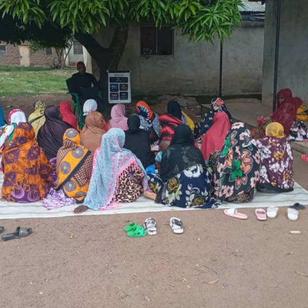 The Classroom Under the Tree That Changed Everything