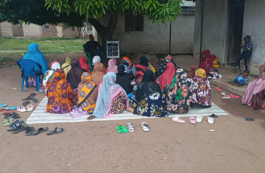 The Classroom Under the Tree That Changed Everything