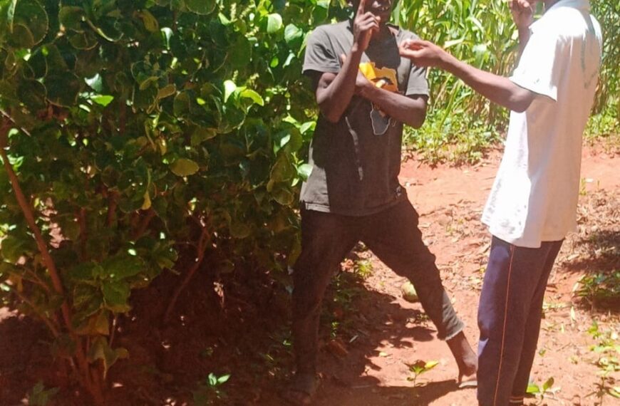 From Understanding Jesus to Embracing Islam