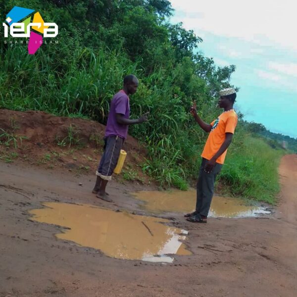   The Day Francis Found the Truth.