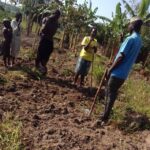 Family curiosity turned into a&hellip;