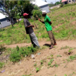 These efforts bring light of…
