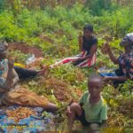 A Garden Conversation That Changed&hellip;