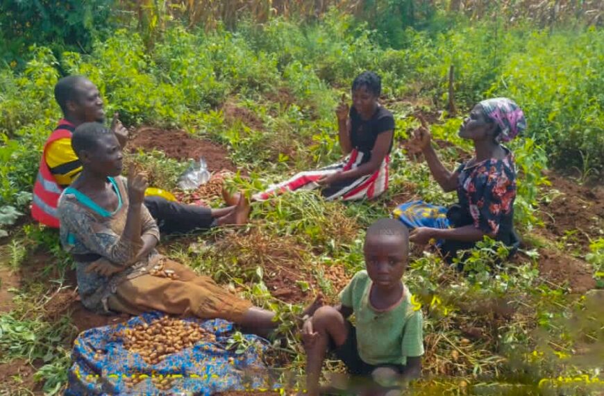 A Garden Conversation That Changed Hearts