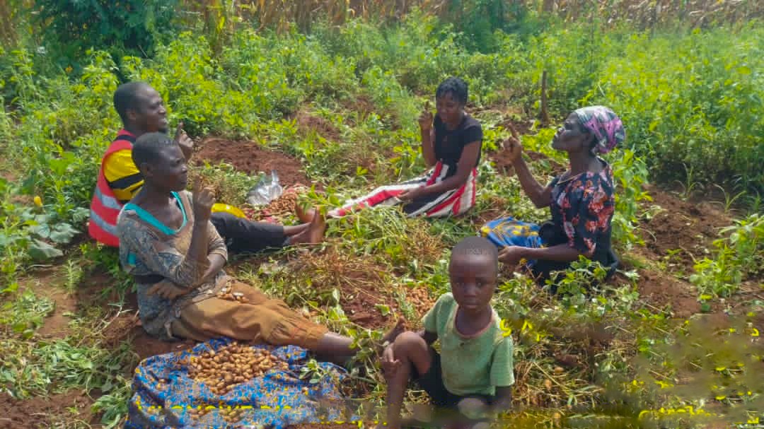 A Garden Conversation That Changed Hearts