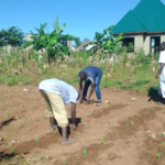 When Small Deeds Teach Big&hellip;