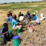 The farmers listened carefully, showing&hellip;