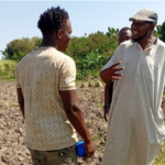 The efforts of the volunteers&hellip;
