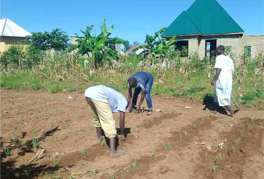 When Small Deeds Teach Big Lessons About Islam