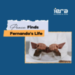 Mexico: From a Life-Threatening Trial&hellip;